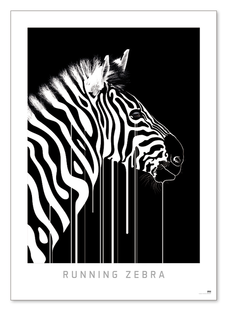poster_zebra